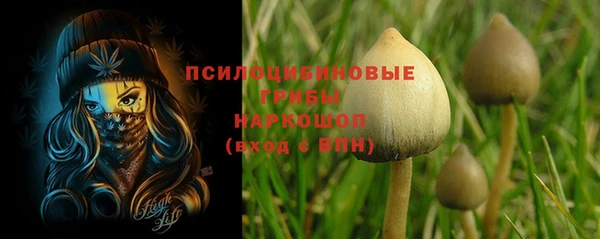 дживик Вязники