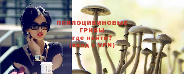 mdpv Вяземский