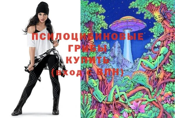 дживик Вязники
