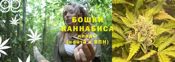 mdpv Вяземский