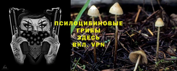 дживик Вязники