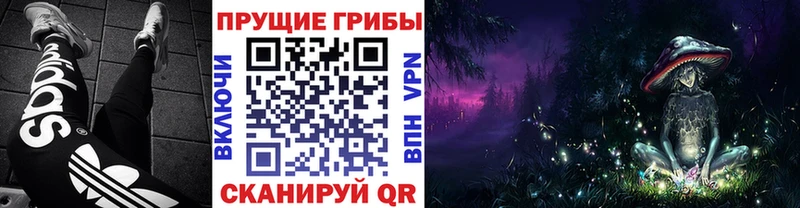 Купить где  Искитим  Псилоцибиновые грибы Psilocybine cubensis 